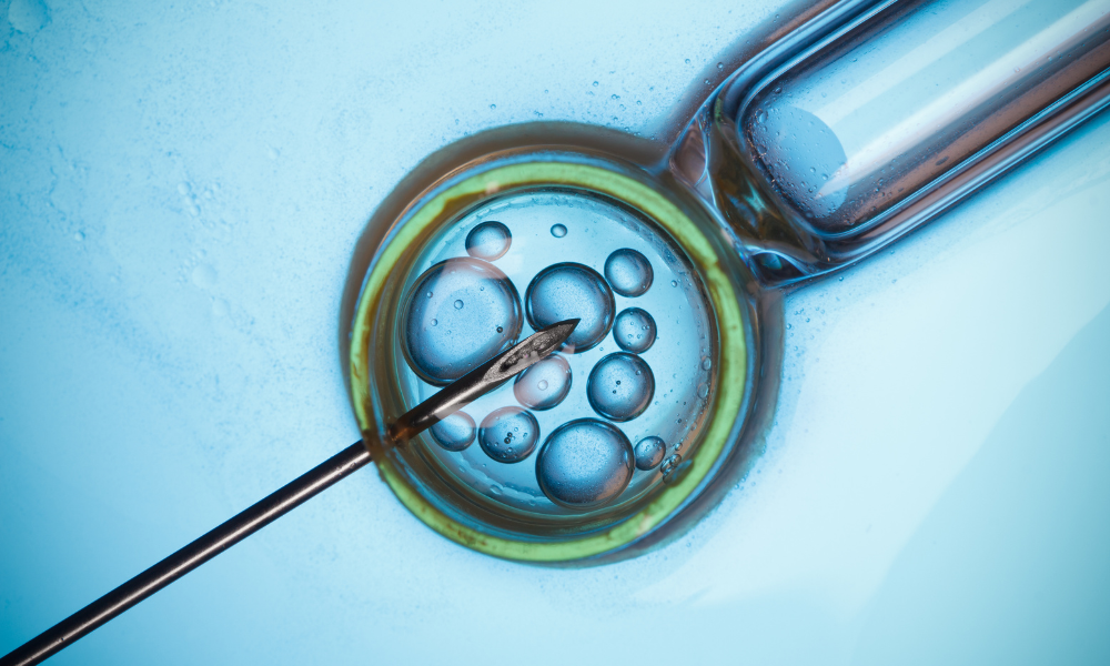 Best IVF and Infertility Treatment in Nagpur